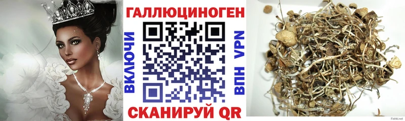 Псилоцибиновые грибы MAGIC MUSHROOMS  Приволжск 